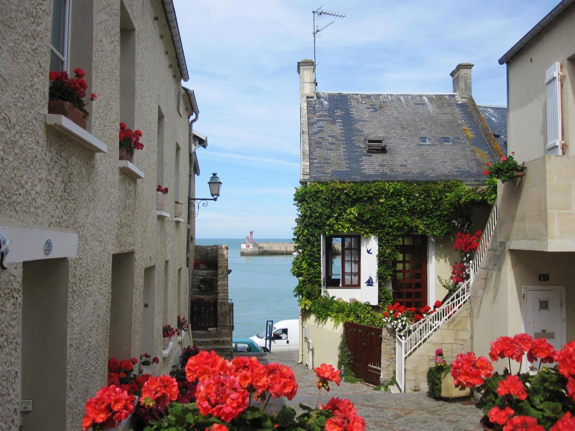 Gite "Au P'Tit Tourois" De Plain-Pied Tout Confort Avec Veranda Proche D'Omaha Beach Et De Bayeux Accueillant Les Animaux Exterior foto